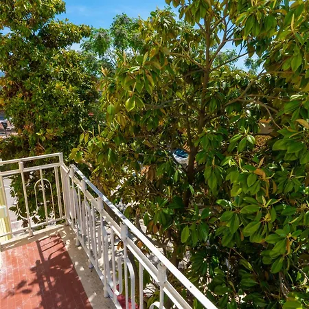 Gjuhadoli Restaurant Otel Shkodër